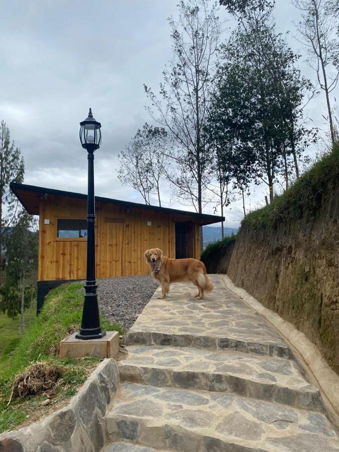 Chalet De Sueños